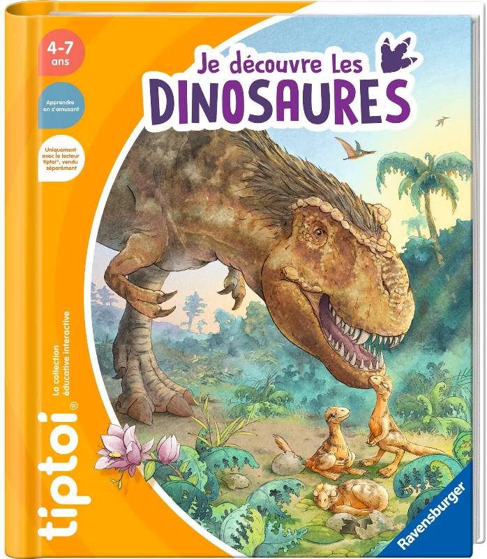 Pas d'image